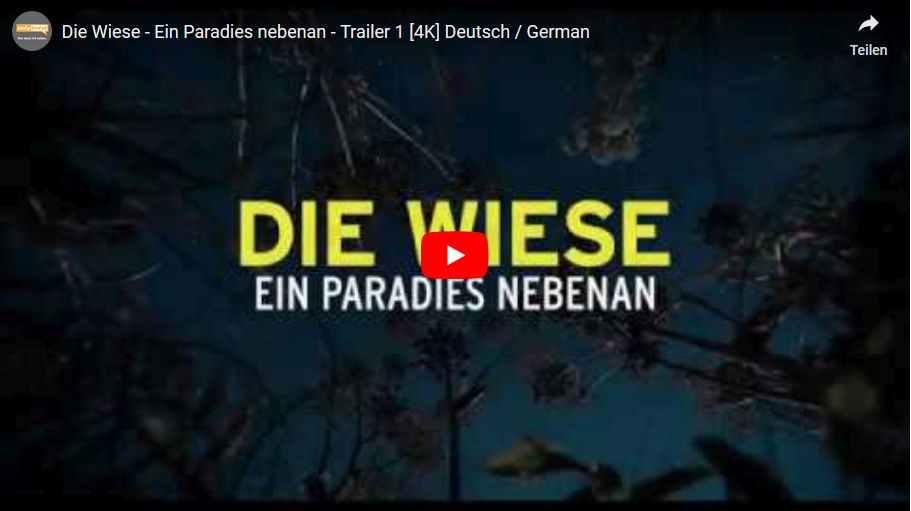 Die Wiese – der Film!