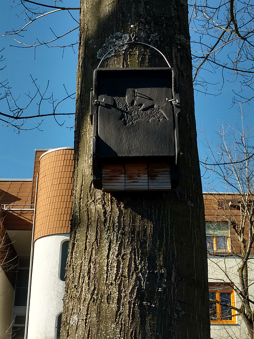 Fledermauskasten
