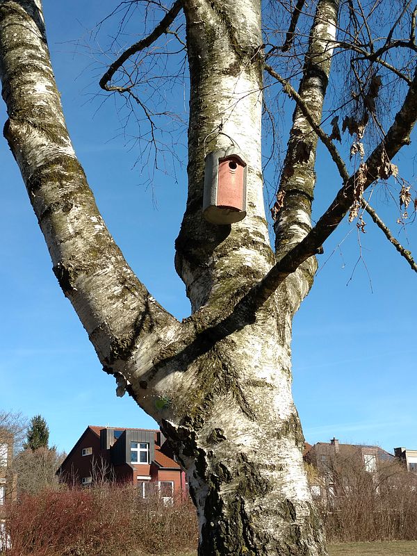Nistkasten